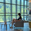 티니케이크 | 속초 카시아호텔 사우나 비스타조식 카시아 호라이즌 인피티니풀 숙소 후기