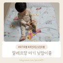 아기낮잠이불 알레르망 베이비 롯데백화점 청량리점 내돈내산 구매후기