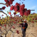 산음영농 이미지