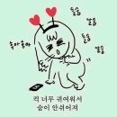 화남(아) 이미지