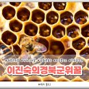 이진숙의 경북군위꿀