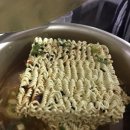 벌떡새우 이미지