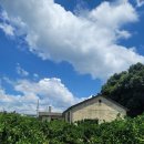 한림이비인후과의원 이미지