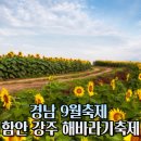 해바라기안경원 네이버블로그