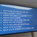 세무법인다솔교대