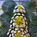 광주광역시 근조화환 80.000 원 이미지