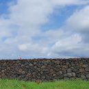 별도연대 이미지