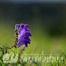 한라전설(주) 이미지