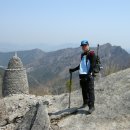 득량남초등학교 이미지