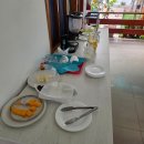 토비동물병원 | 신혼여행 17일차(이사벨라 셀프투어 그리고 장염🤢)