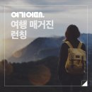 매거진