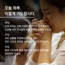 한 농부의 배려심 / 디도서 2:1-10 이미지