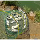 남촌낚시터 이미지