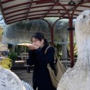 탐진농원 이미지