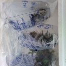 신용 아쿠아 수족관 이미지