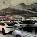 마곡서로(서측) 이미지