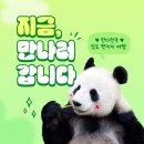 투어탑항공 티스토리
