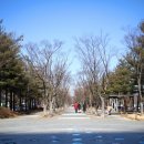 도심속의 평화 네이버블로그
