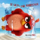 독수리브레인