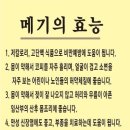 어가본가 네이버블로그