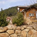 흑송농장 이미지