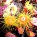 수도환경 이미지