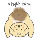 새샘교회 이미지