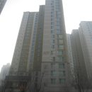 덕영대로1484번길 이미지