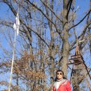 각심재길 이미지