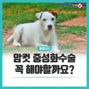 청안동물병원 이미지