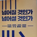 넘어질 것인가 넘어설 것인가 - 안규호 외 이미지