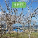 비봉슈퍼 네이버블로그