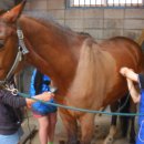 발안바이오과학고등학교 이미지