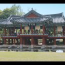 은애농장 이미지