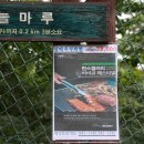 한스갤러리 이미지