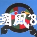 국풍
