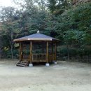 정자세천 이미지