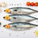 드림바디 & 바디앤솔 가장점 이미지