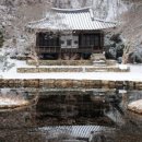 문 스테이 이미지