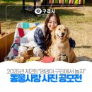 댕댕아 놀자 | 〔📸 2025 제2회 구리시 "댕댕아 구리에서 놀자" 동물사랑 사진 공모전〕