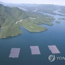 입장 수상태양광발전소 이미지