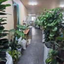 그랜드녹두팥칼국수 이미지