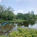 보라매공원 이미지