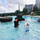 천지연 신영통점 (주)신화아이푸드 | 2일차 코스 | 박물관은 살아있다 제주 | 돈내코힐리조트 | 천지연폭포 | 여름 제주 아이랑 가볼 만한 곳