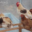 빛솔농장
