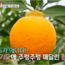 내혜홀농장 이미지