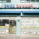 굿파파 24시 반려동물건강검진센터 | 동작구 사당동 동물병원 굿파파 24시 반려동물건강검진센터 진료시간 접근성 이용후기