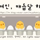 초시토속식당