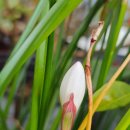 텅빈충만 이미지