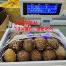 오학농장 이미지